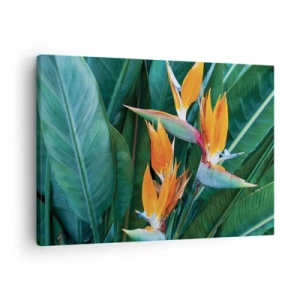 Canvas picture - Exotic strelitzia flowers surrounded by green leaves - 70x50cm - Is It a Flower or a Bird? - Modern wall decoration for the living room and bedroom ARTTOR