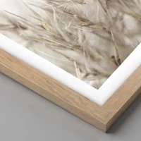 Light Oak