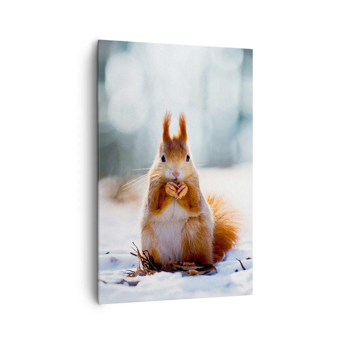 Canvas picture - What Are You Looking at? - 80x120 cm