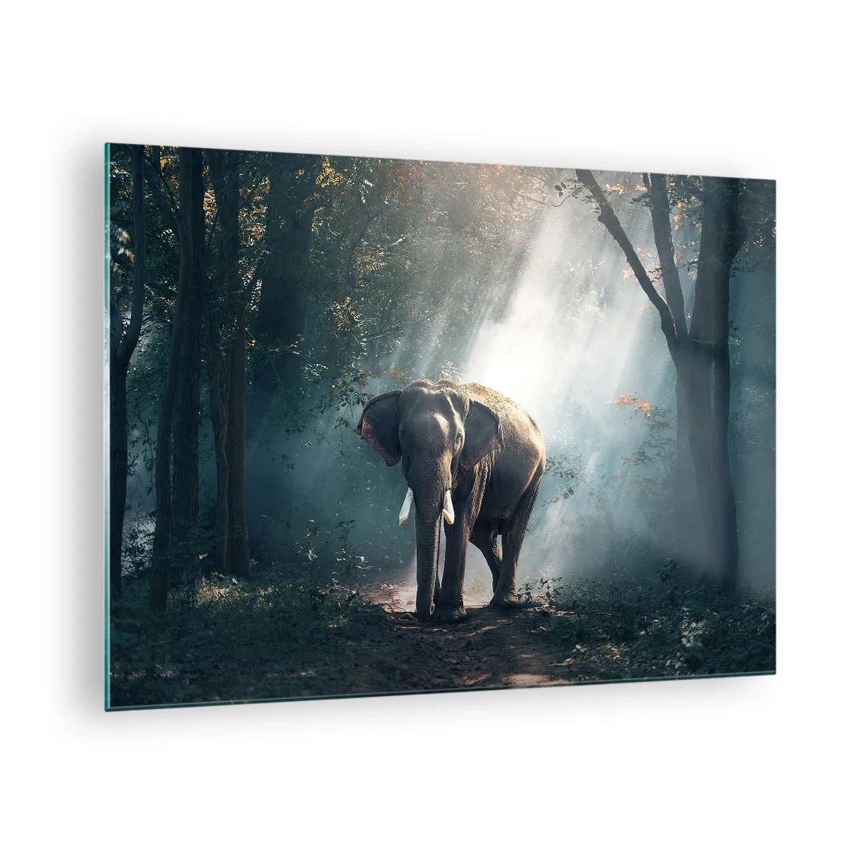 Glass picture - An elephant walking through the forest with sunlight streaming through the trees. - 70x50cm - Quiet Stroll - Modern wall decoration for the living room and bedroom ARTTOR
