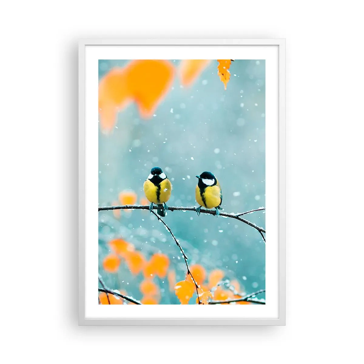 Poster in white frmae - Birdy Gossip - 50x70 cm