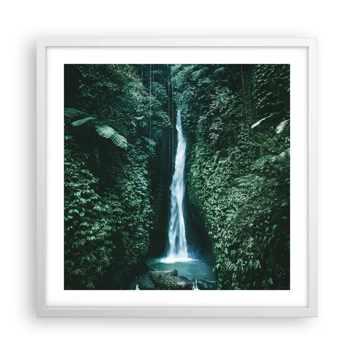 Poster in white frmae - Tropical Spring - 50x50 cm