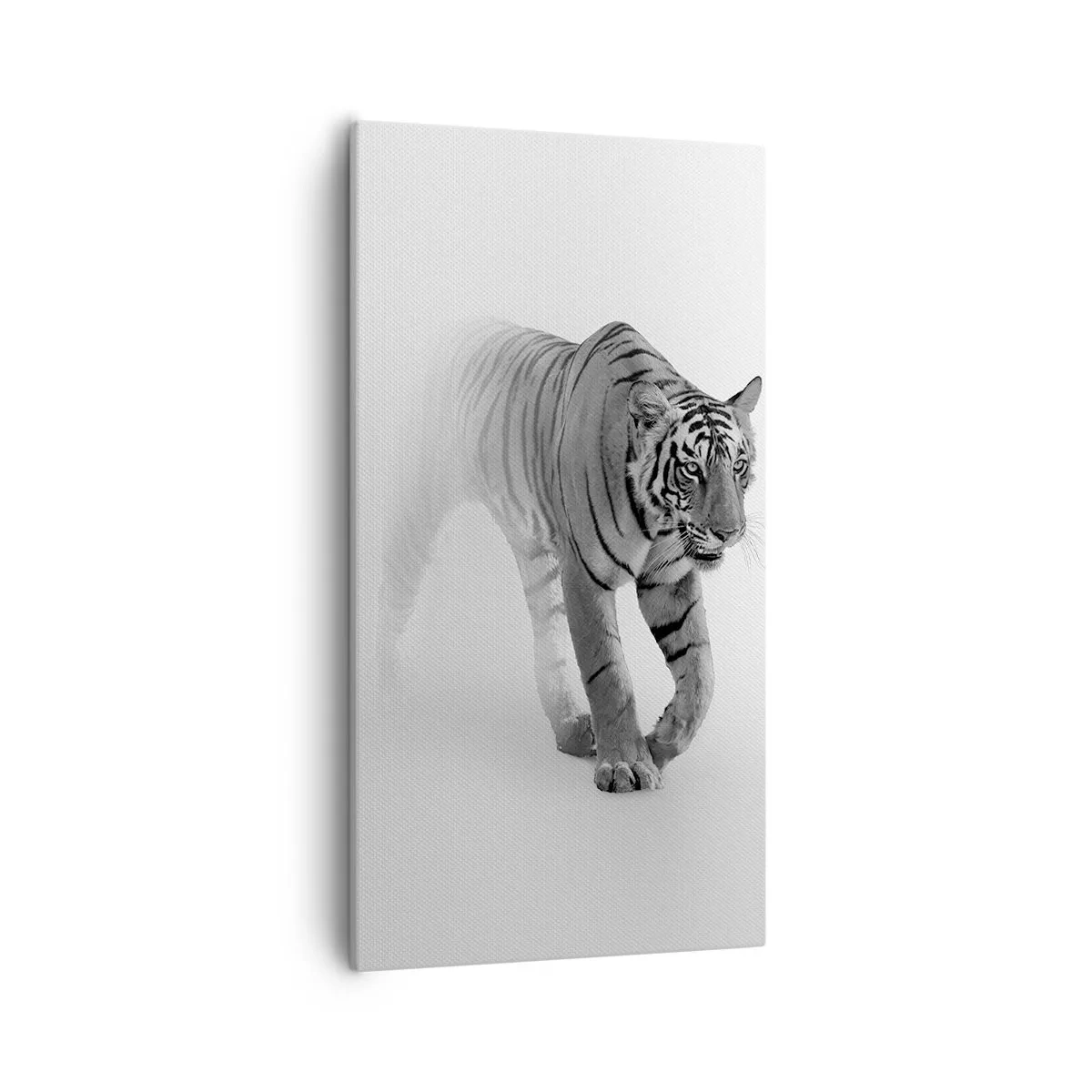 Canvas picture - Crouching in Fog - 55x100 cm