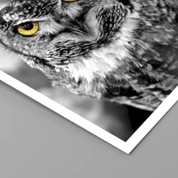Unframed
