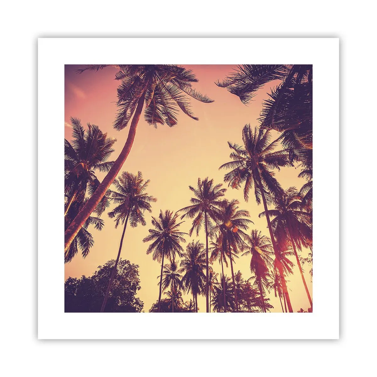 Poster - Tropical Variation - 40x40 cm