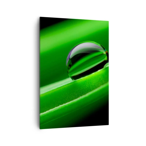 Canvas picture - Life from a Close-Up - 70x100 cm