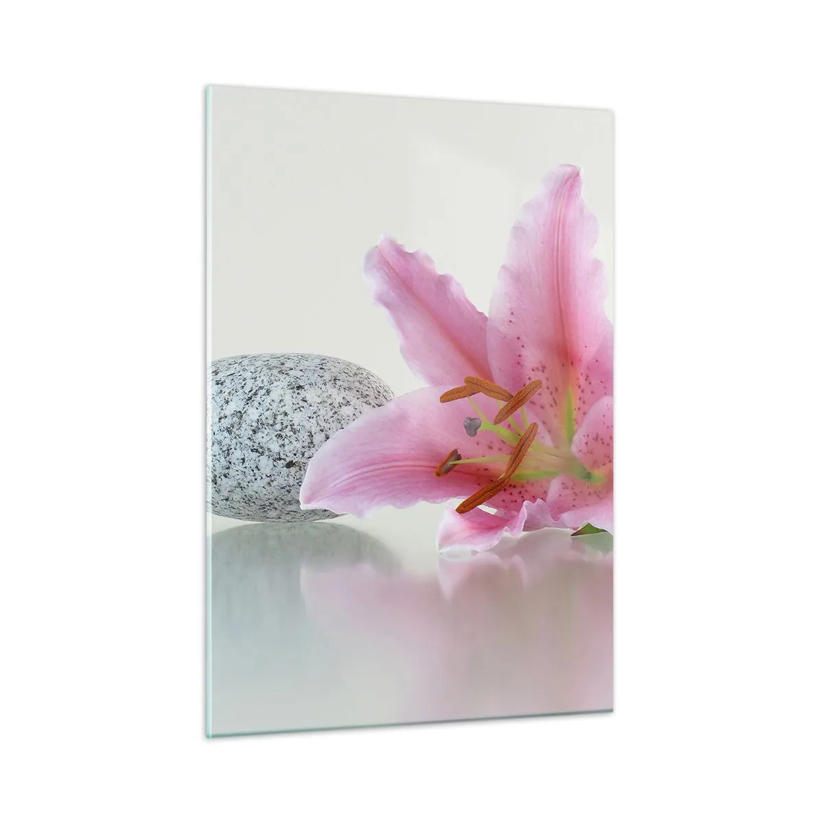 Glass picture - Study in Pink, Grey and White - 50x70 cm