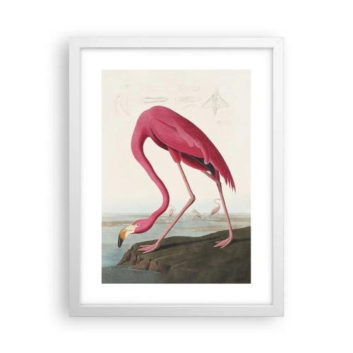 Poster in white frmae - Curious Creature - 30x40 cm