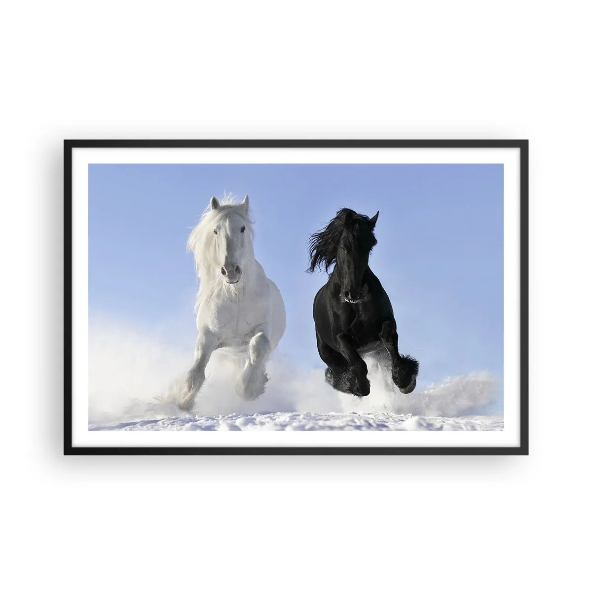 Poster in black frame - Black and White Gallop - 91x61 cm