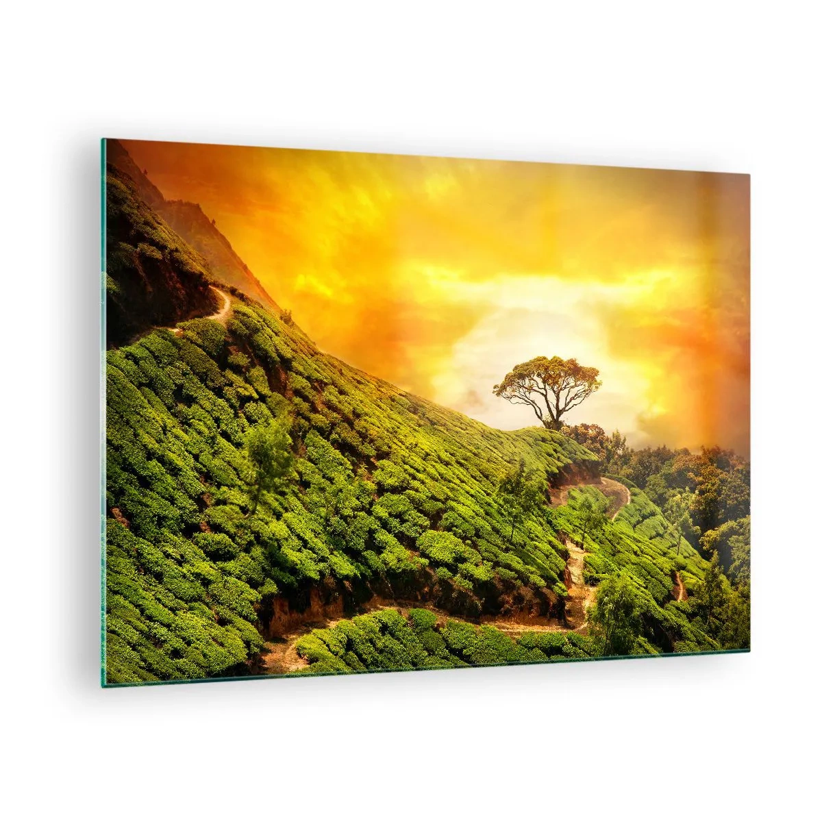 Glass picture - Green hills with a lone tree at sunset - 70x50cm - Winding Path, Green Slope - Modern wall decoration for the living room and bedroom ARTTOR