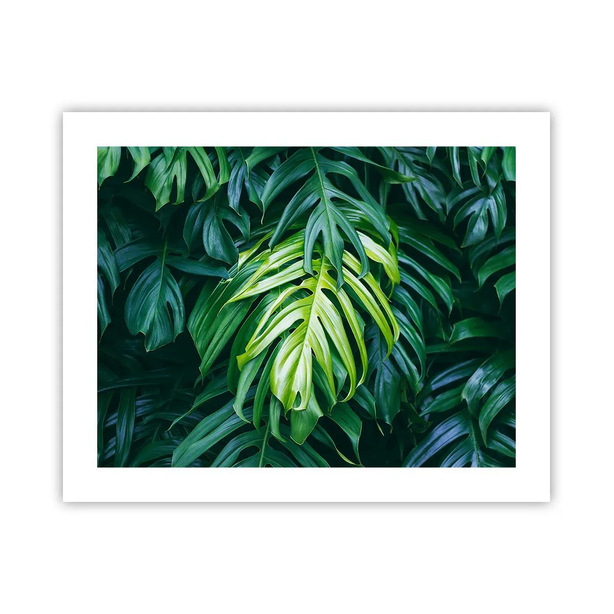 Poster - Immerse Yourself in Freshness - 50x40 cm
