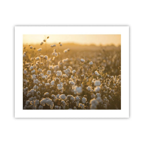 Poster - Fluffy Field - 50x40 cm
