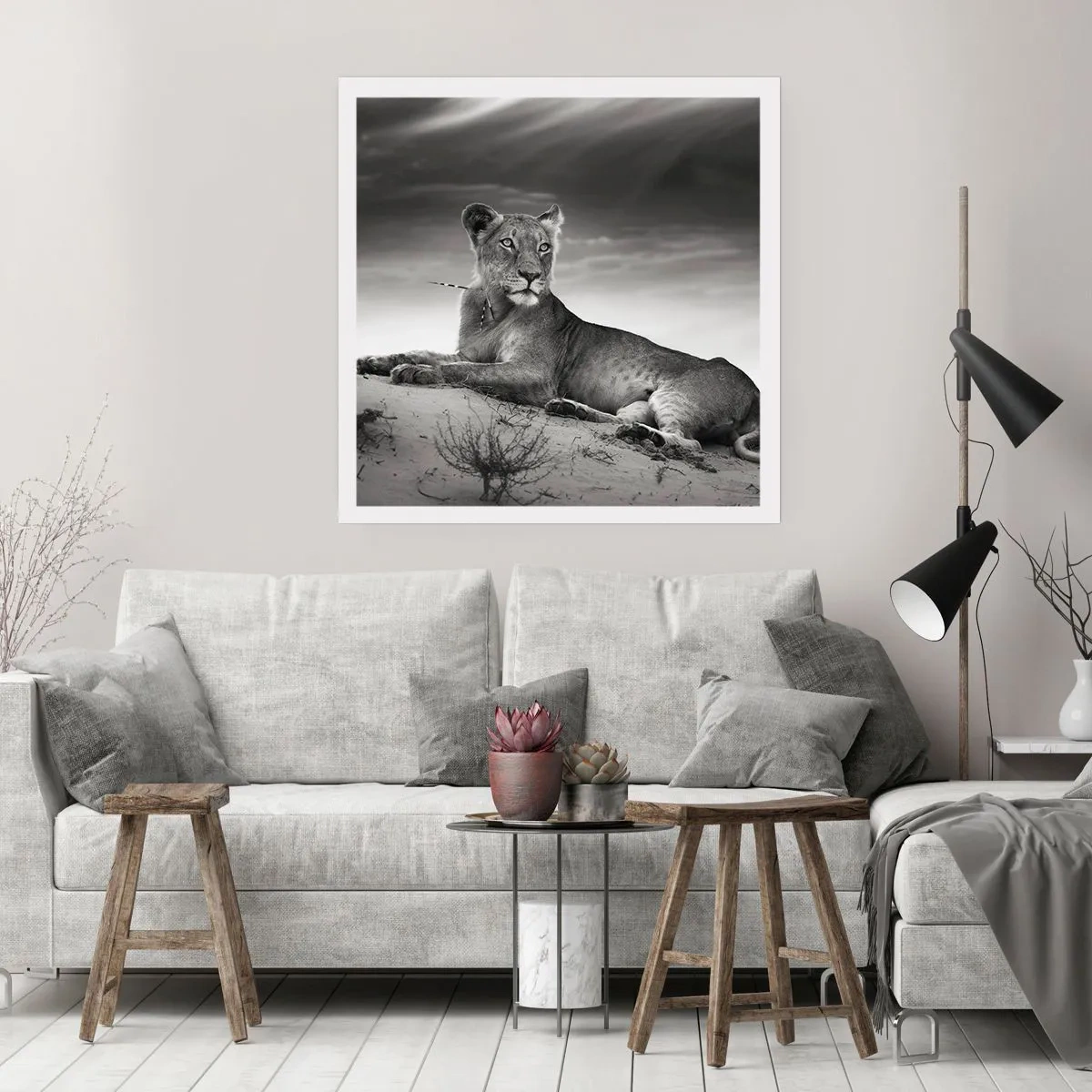 Poster - Queen of Desert Is Resting - 50x50 cm