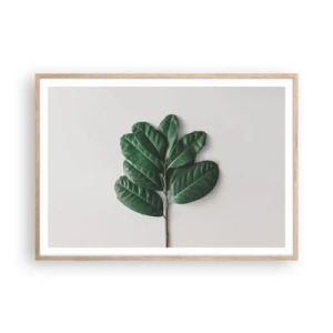 Poster in light oak frame - Drawing of Nature Itself - 100x70 cm