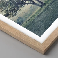 Light Oak