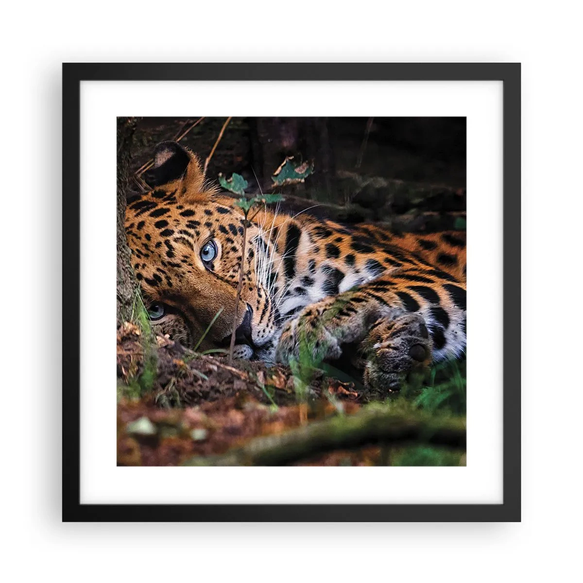 Poster in black frame - Trust Me - 40x40 cm