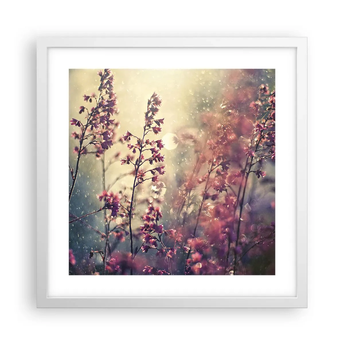 Poster in white frmae - Secret Garden - 40x40 cm