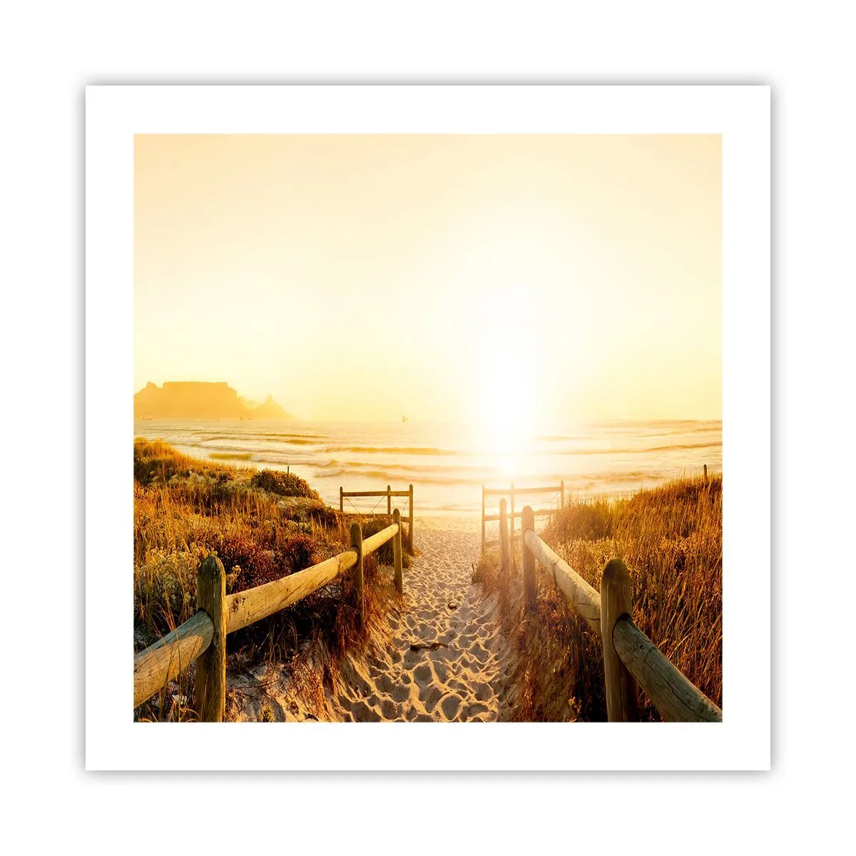 Poster - Through the Dune, Towards the Sun - 50x50 cm
