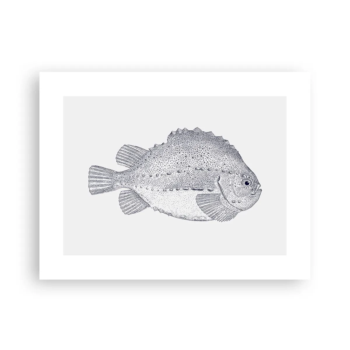 Poster - For Natural Scientist's Album - 40x30 cm