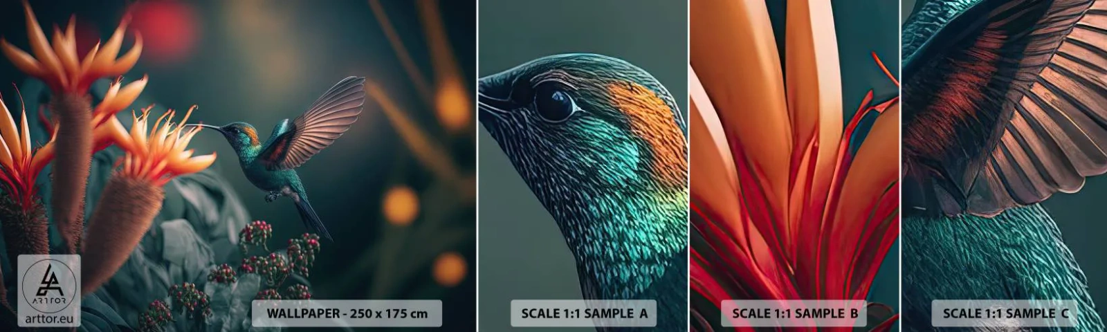 Photo Wallpaper Sample Self-Adhesive Deluxe Sticker - Really Colourful Life - Bird, Exotic, Flower - 100x30 cm