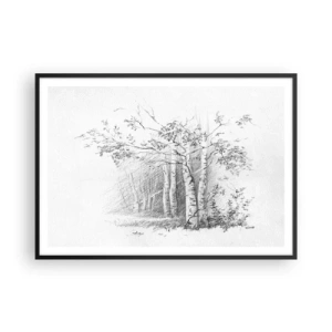 Poster in black frame - Holiday of Birch Forest - 100x70 cm