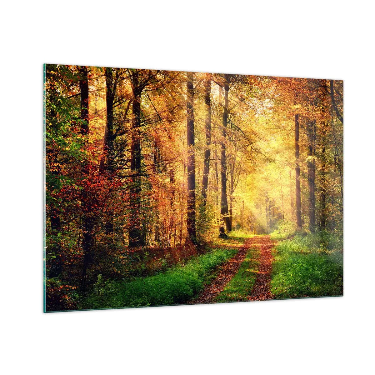 Glass picture - Forest Golden silence - 100x70 cm