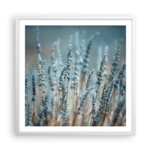 Poster in white frmae - Fragrant Grass - 60x60 cm