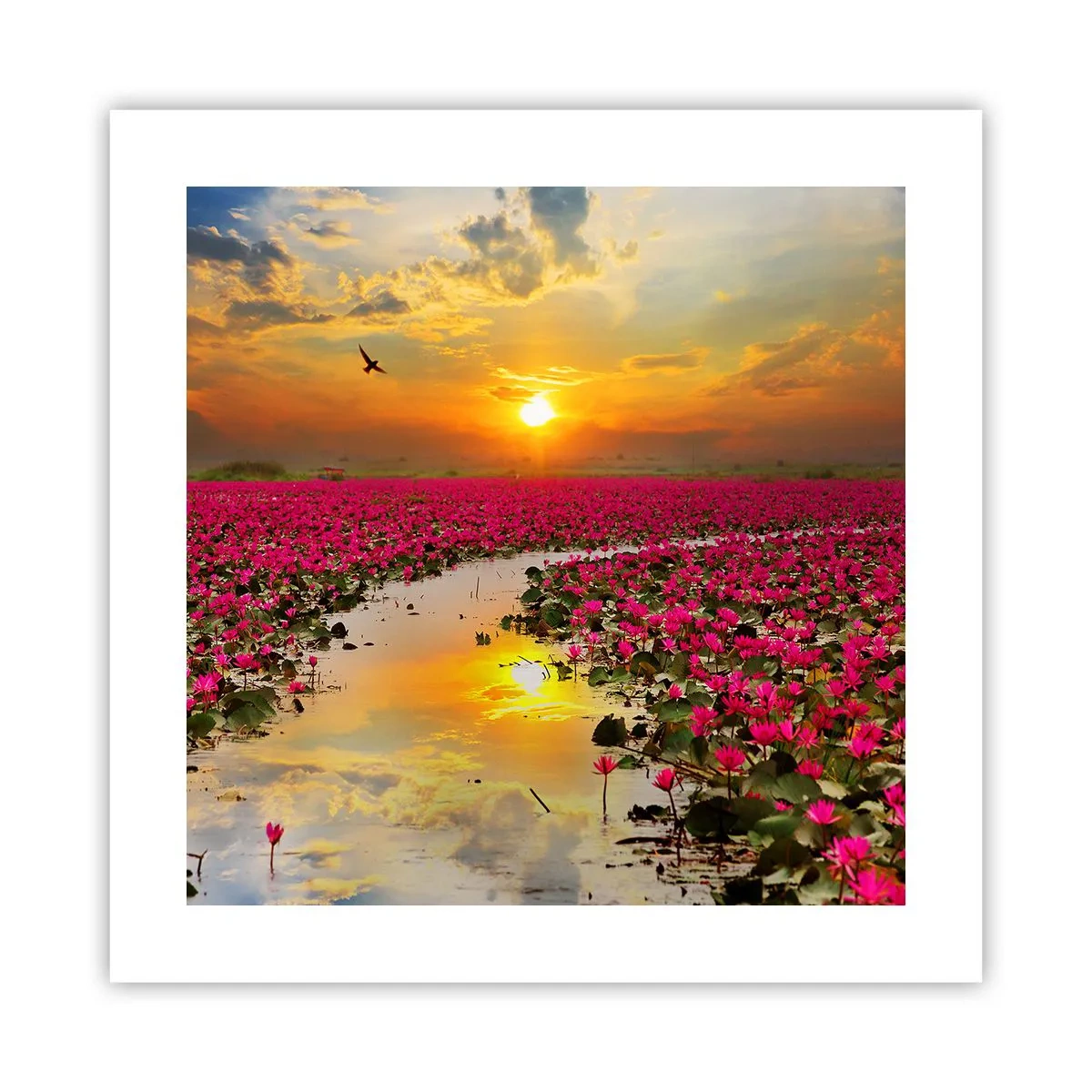 Poster - Secret Life of a Lake - 40x40 cm