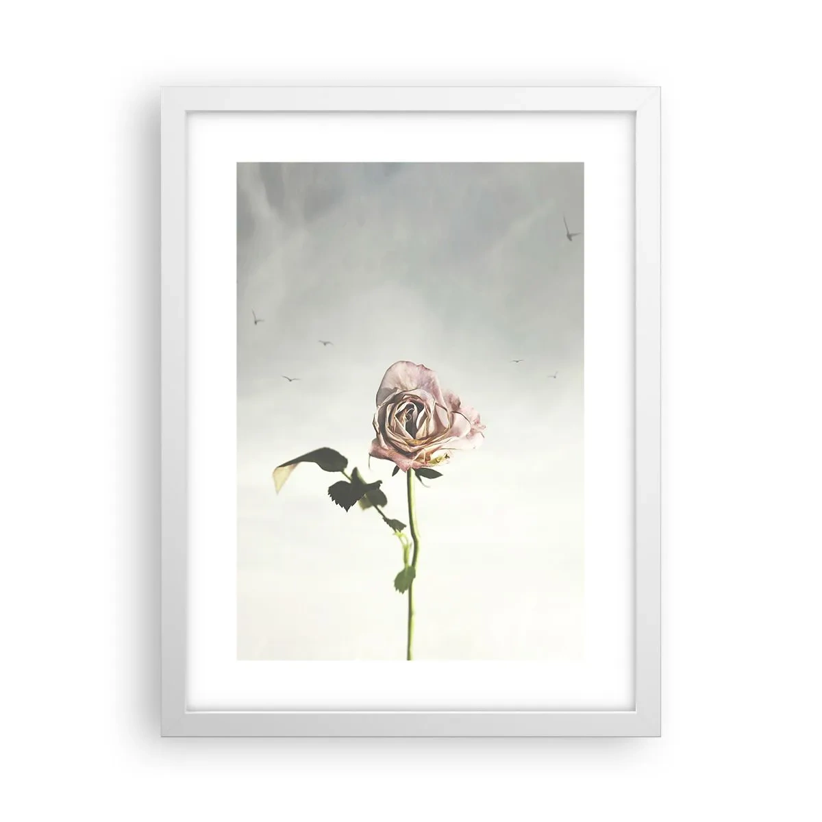 Poster in white frmae - Welcoming of Spring - 30x40 cm