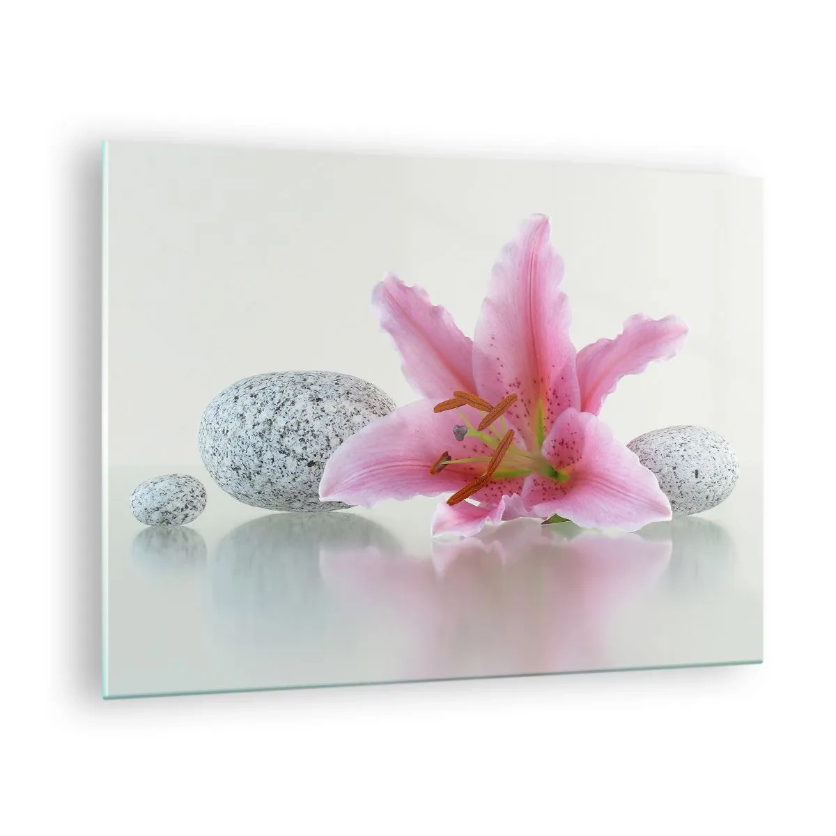 Glass picture - Pink lily against a background of white stones in a spa style - 70x50cm - Study in Pink, Grey and White - Modern wall decoration for the living room and bedroom ARTTOR