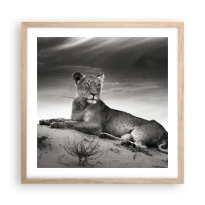 Poster in light oak frame - Queen of Desert Is Resting - 50x50 cm