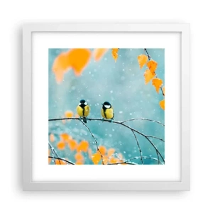 Poster in white frmae - Birdy Gossip - 30x30 cm