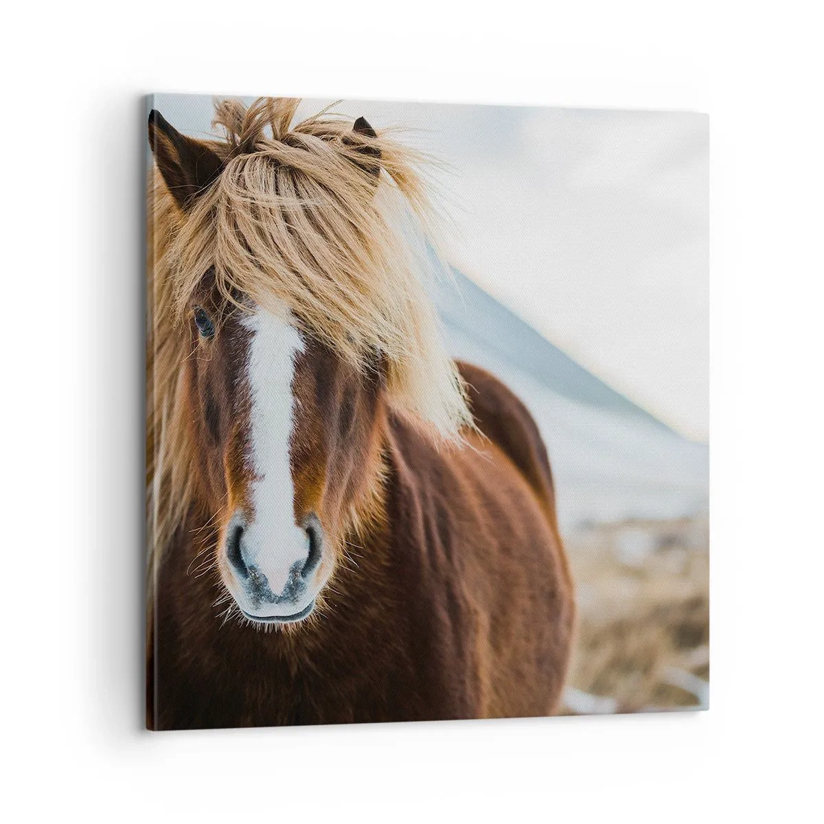 Canvas picture - Can You Feel the Freedom? - 60x60 cm