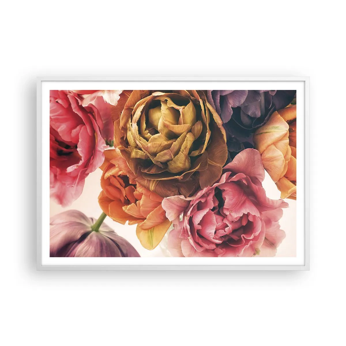 Poster in white frmae - Celebration of Life - 100x70 cm