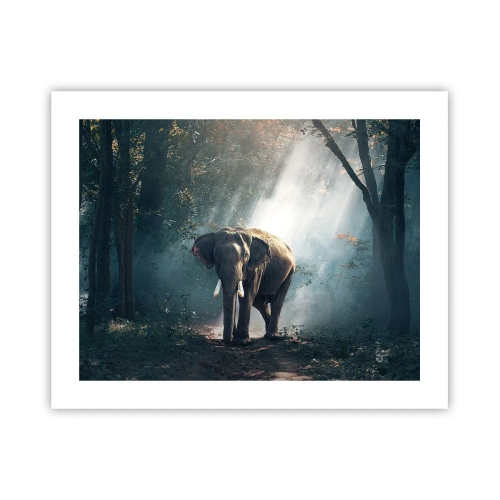 Poster - Quiet Stroll - 50x40 cm