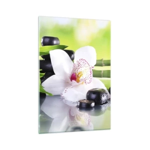 Glass picture - Cool Freshness - 70x100 cm