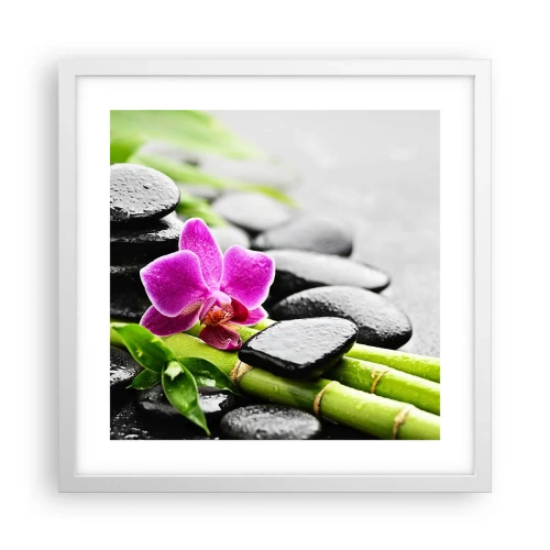 Poster in white frmae - In a Peaceful Balance - 40x40 cm