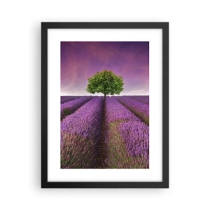 Poster in black frame - In the Fields of Lavender - 30x40 cm