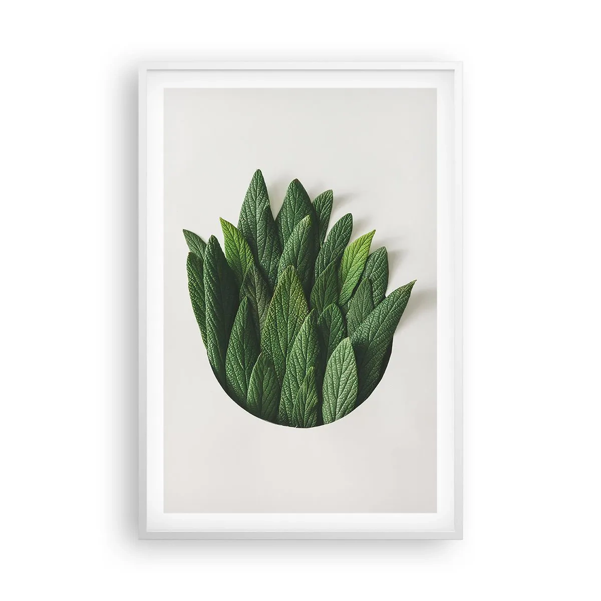 Poster in white frmae - Untamed Curiosity - 61x91 cm