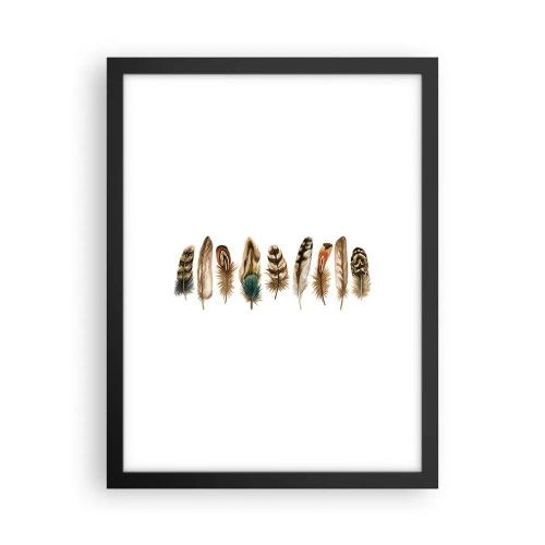 Poster in black frame - Feather Variation - 30x40 cm