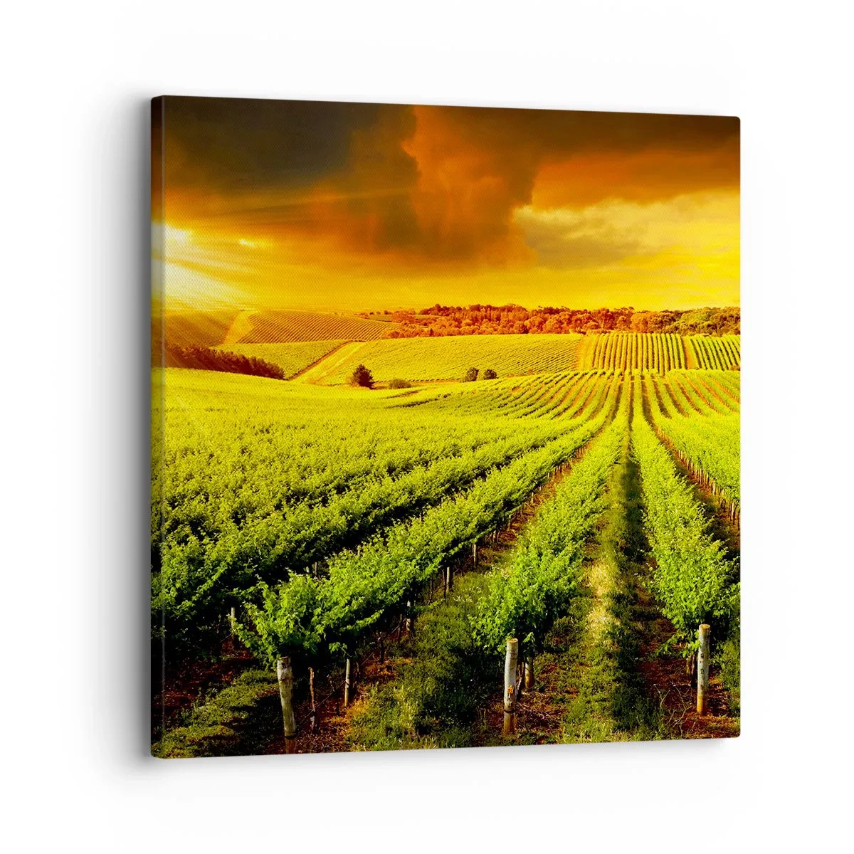Canvas picture - Under Australian Sun - 30x30 cm