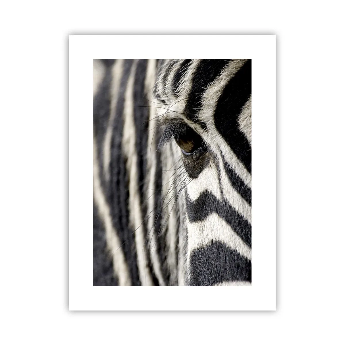Poster - Striped Portrait - 30x40 cm