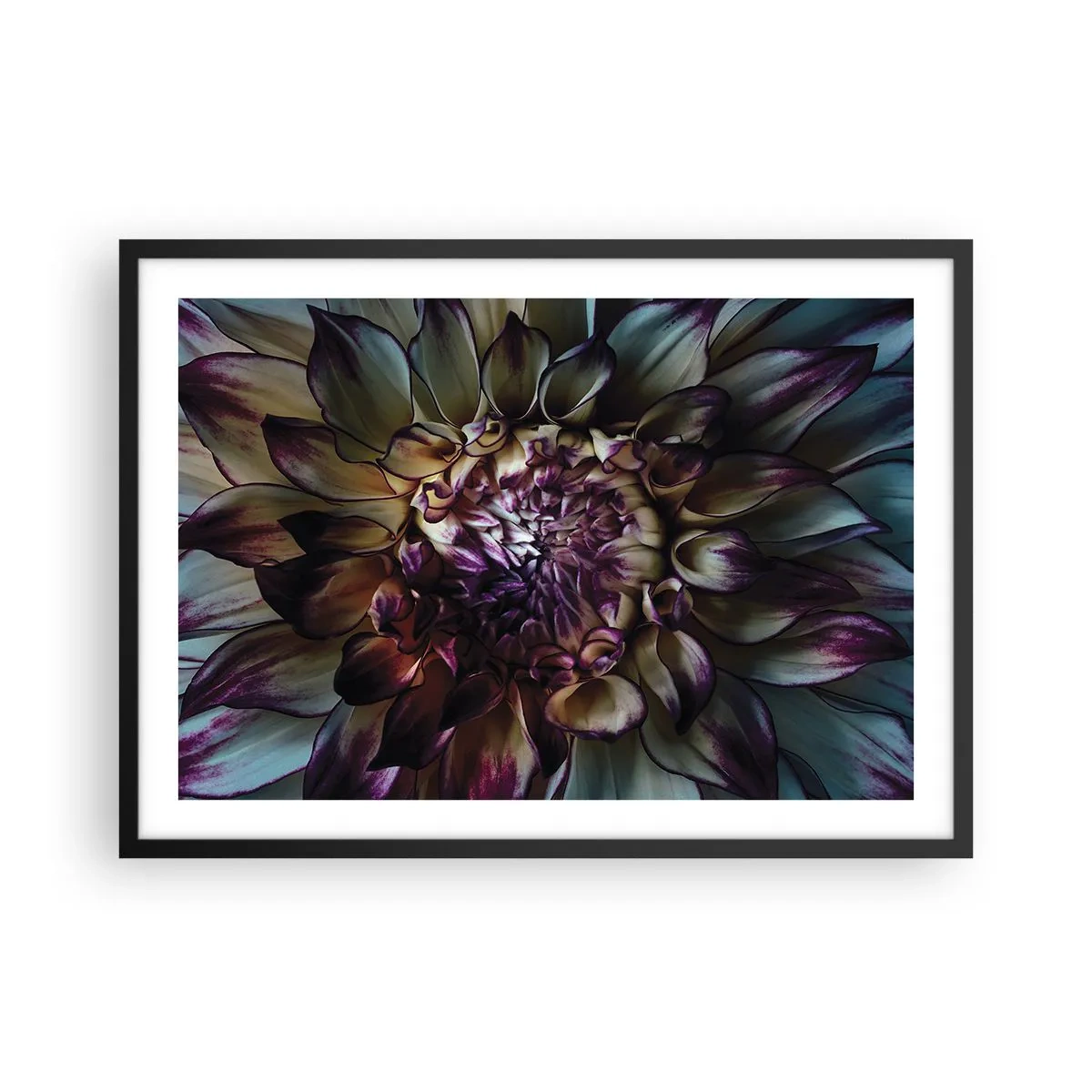 Poster in black frame - The Blossoming of Youth - 70x50 cm