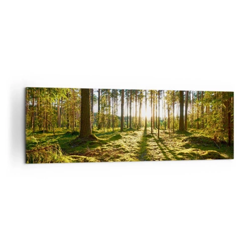 Canvas picture - Deep in the Forest - 160x50 cm
