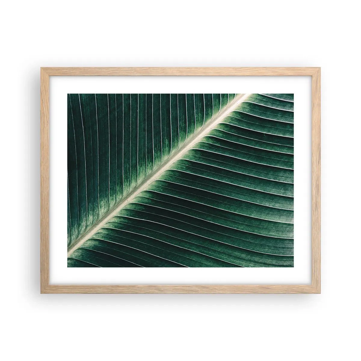 Poster in light oak frame - Rhythm of Nature - 50x40 cm