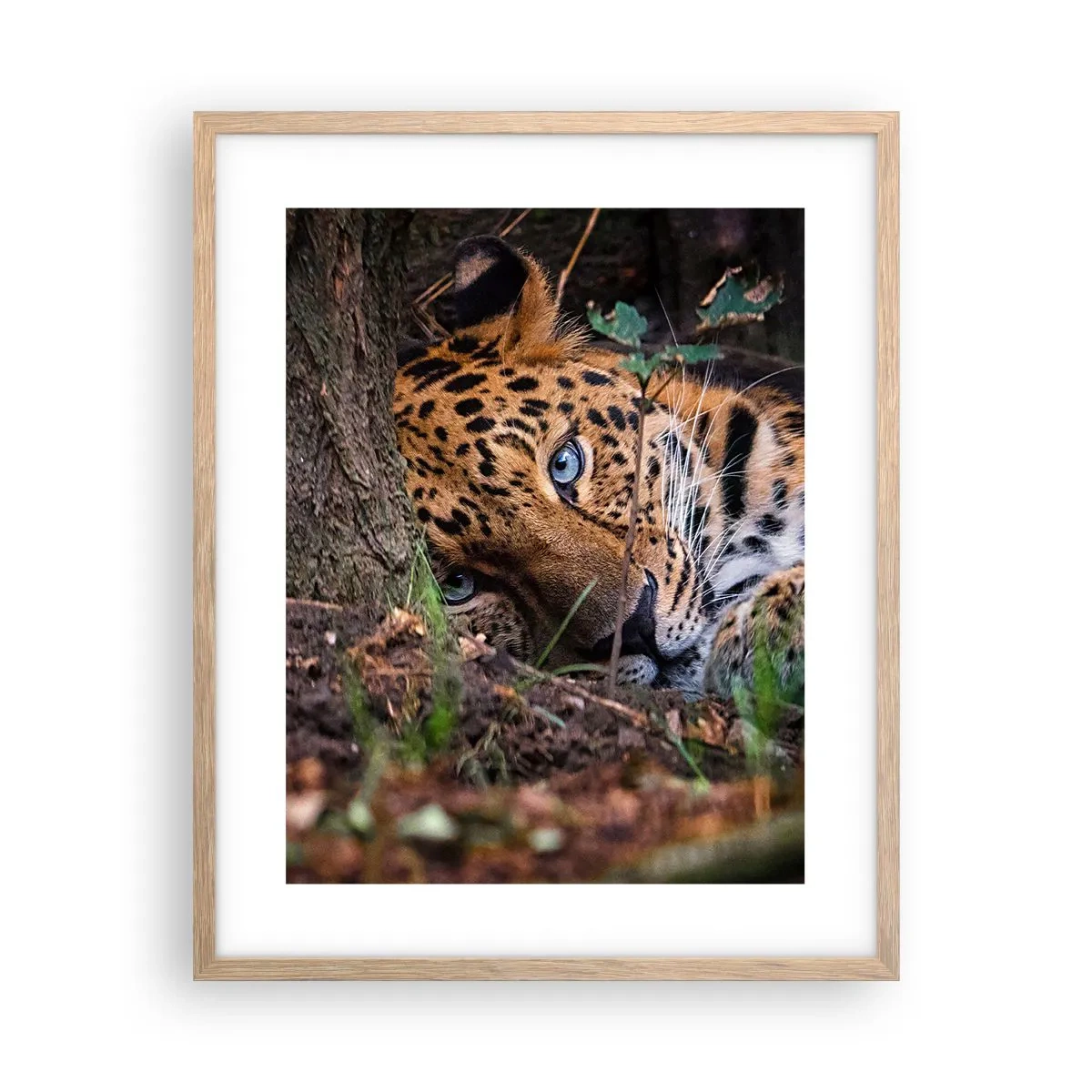 Poster in light oak frame - Trust Me - 40x50 cm