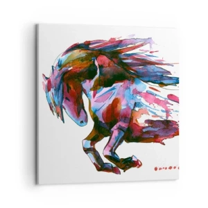 Canvas picture - In Elation - 50x50 cm