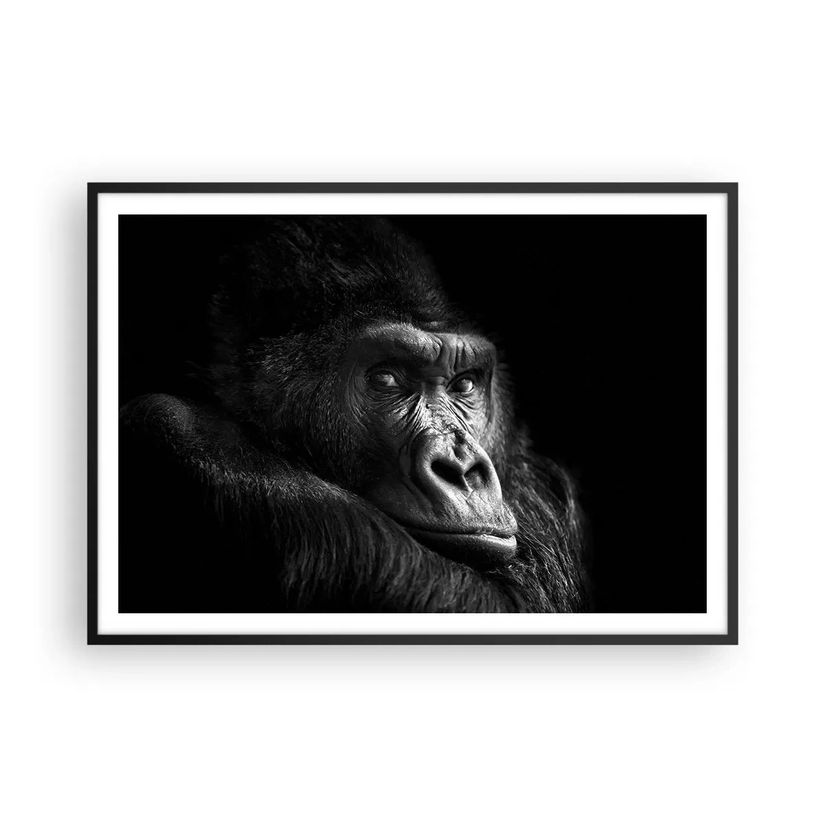 Poster in black frame - What Are You Looking At? - 100x70 cm
