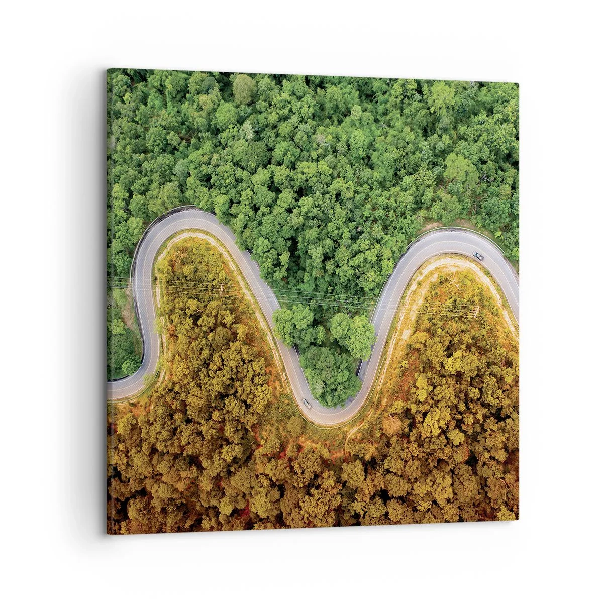 Canvas picture - Borders and Breakthroughs - 50x50 cm