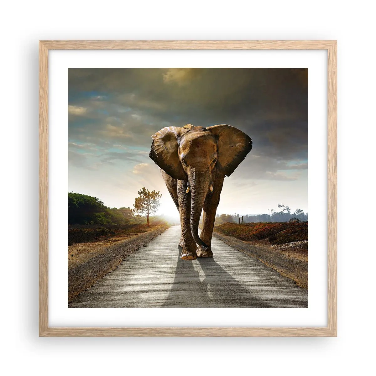 Poster in light oak frame - Not in a China Shop - 50x50 cm